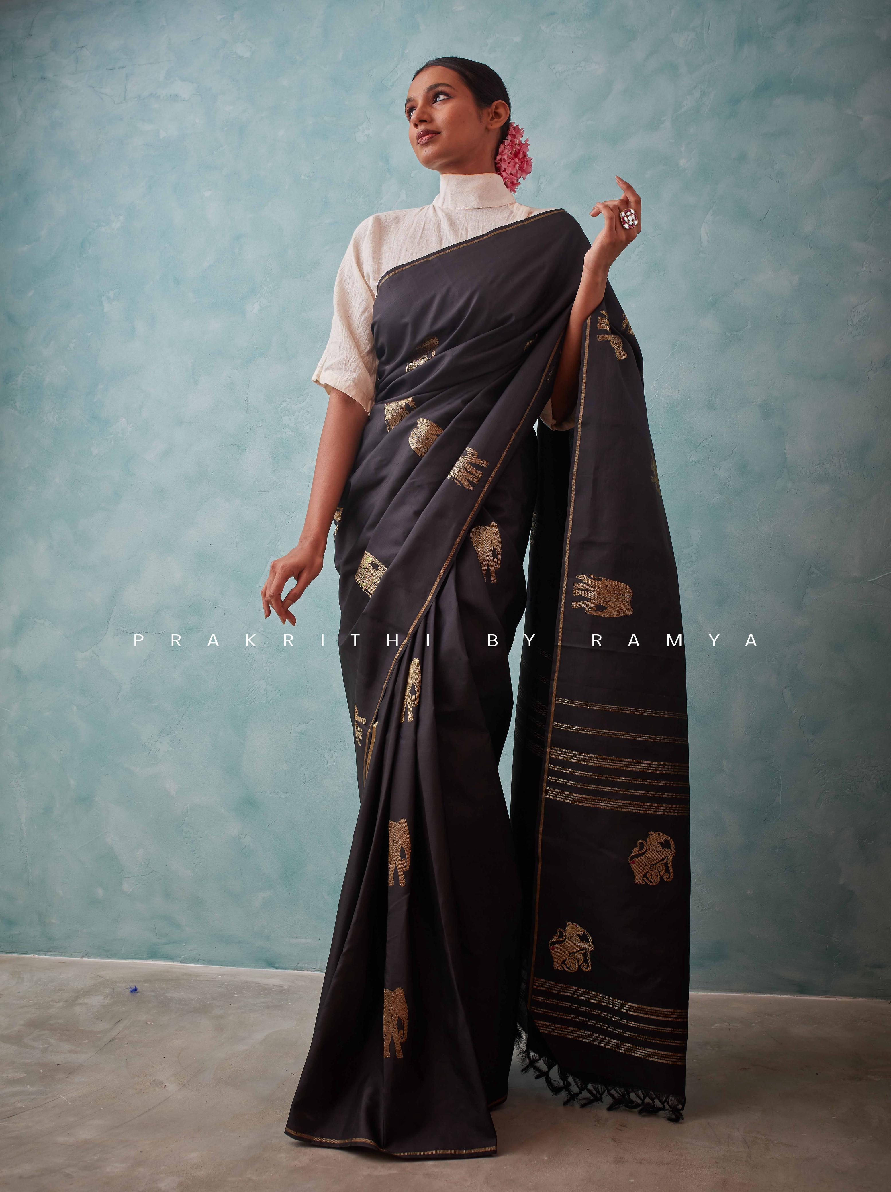 Ramya Krishanan — The Beginning